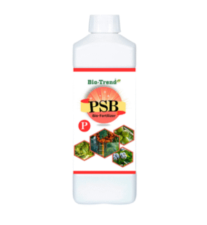 PSB Bio-fertilizer