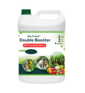 DOUBLE BOOSTER