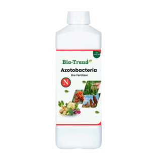 Azotobacter