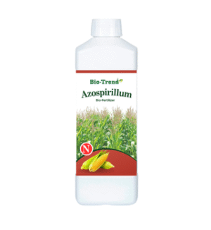 Azospirillum