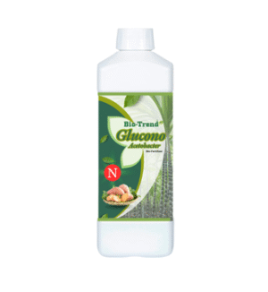Gluconacetobacter